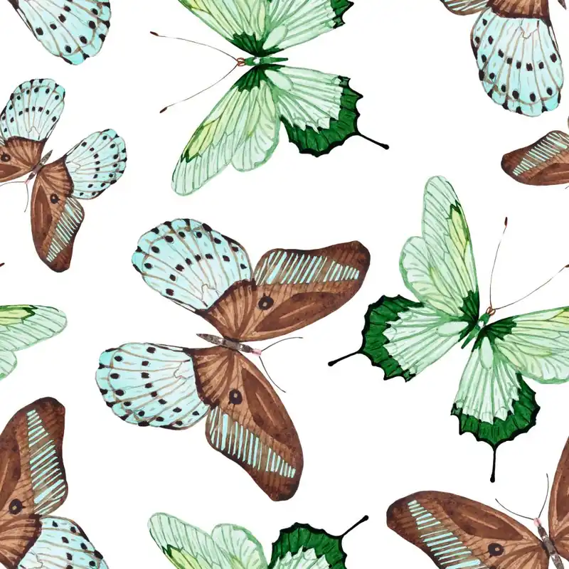 Tapeta Do Kuchni, Motyle, Natura, Przyroda Flizelina 53x1000 Wysoka jakość