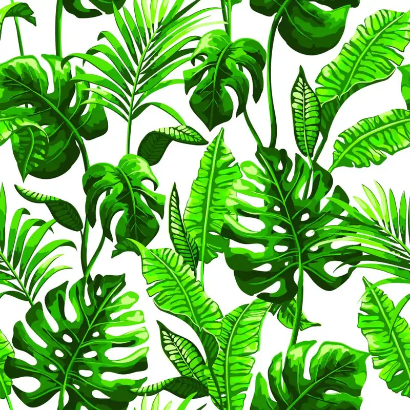 Tapeta Liście Monstera I Palmy Flizelina 53x1000 Ostatnie sztuki