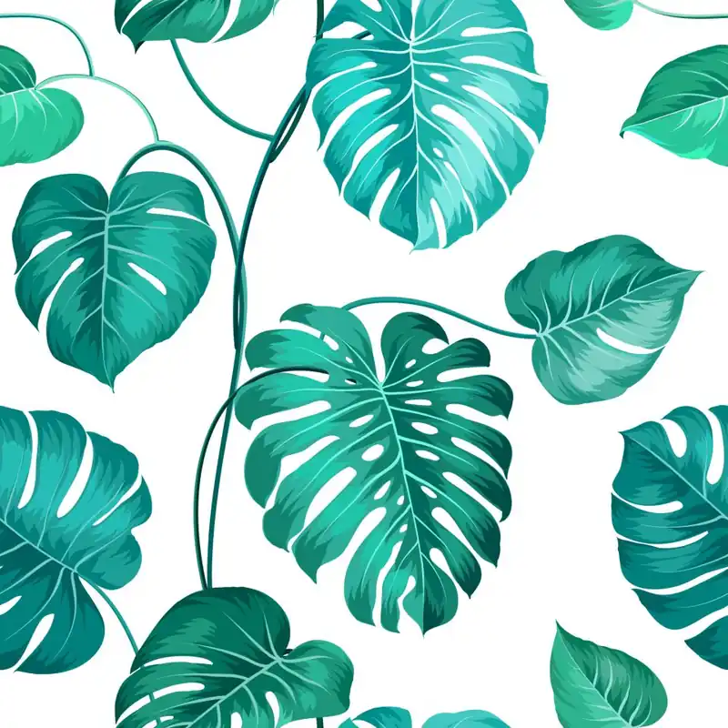 Tapeta Liście Monstera Natura Flizelina 53x1000 Okazja