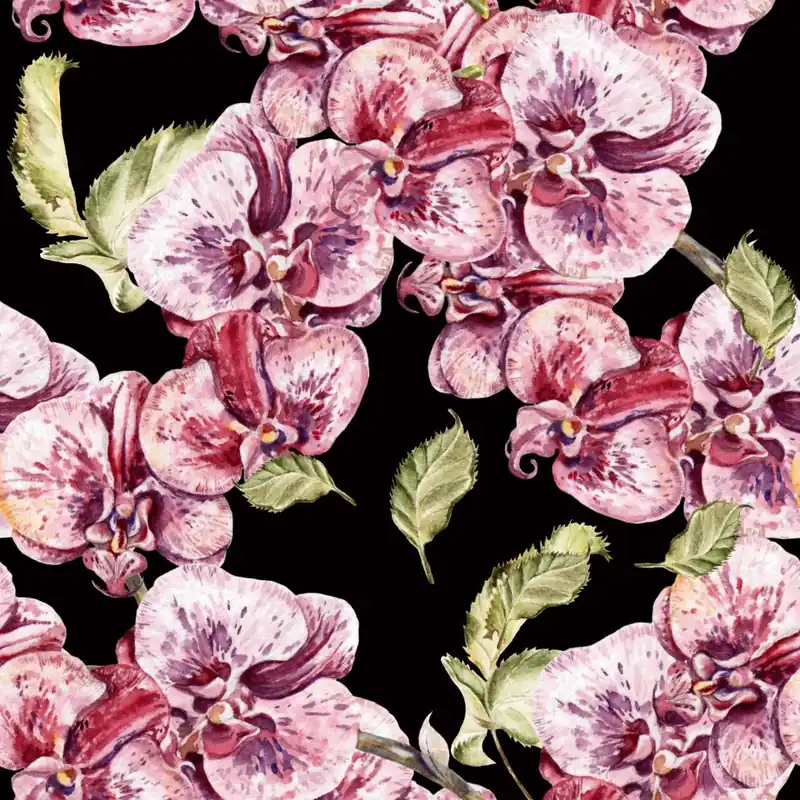 Szybka wysyłka Tapeta Do Sypialni Orchidea Storczyk Natura Kwiaty Flizelina 53x1000