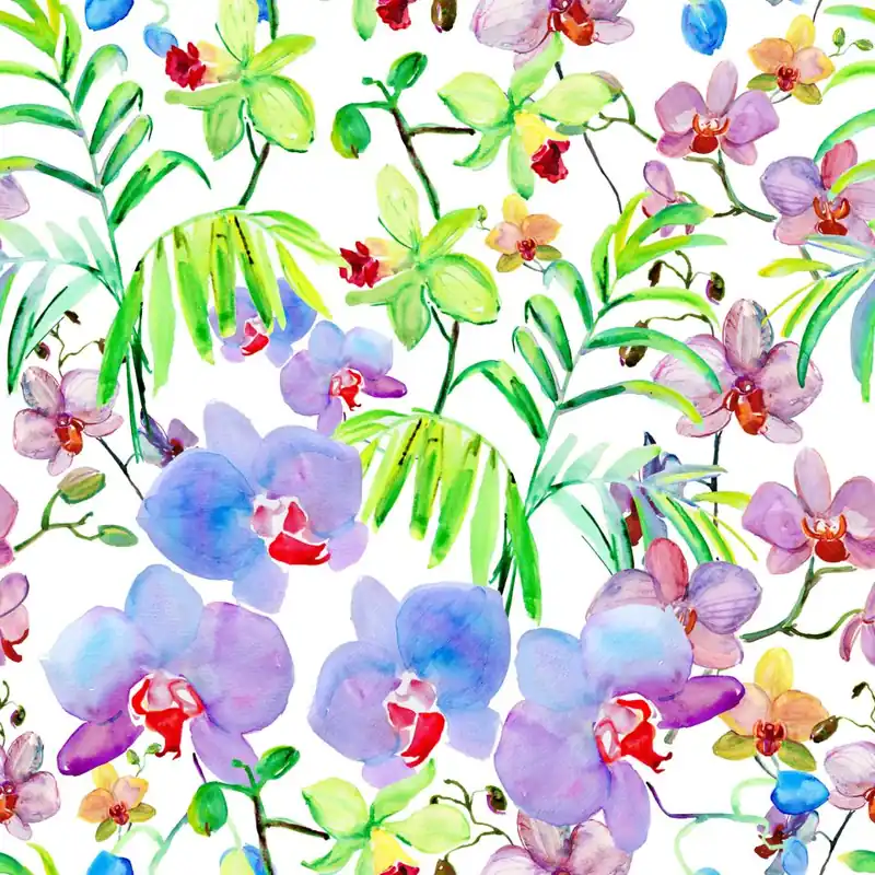 Tapeta Orchidea Storczyki Rośliny Kwiaty Do Salonu Flizelina 53x1000 Taniej