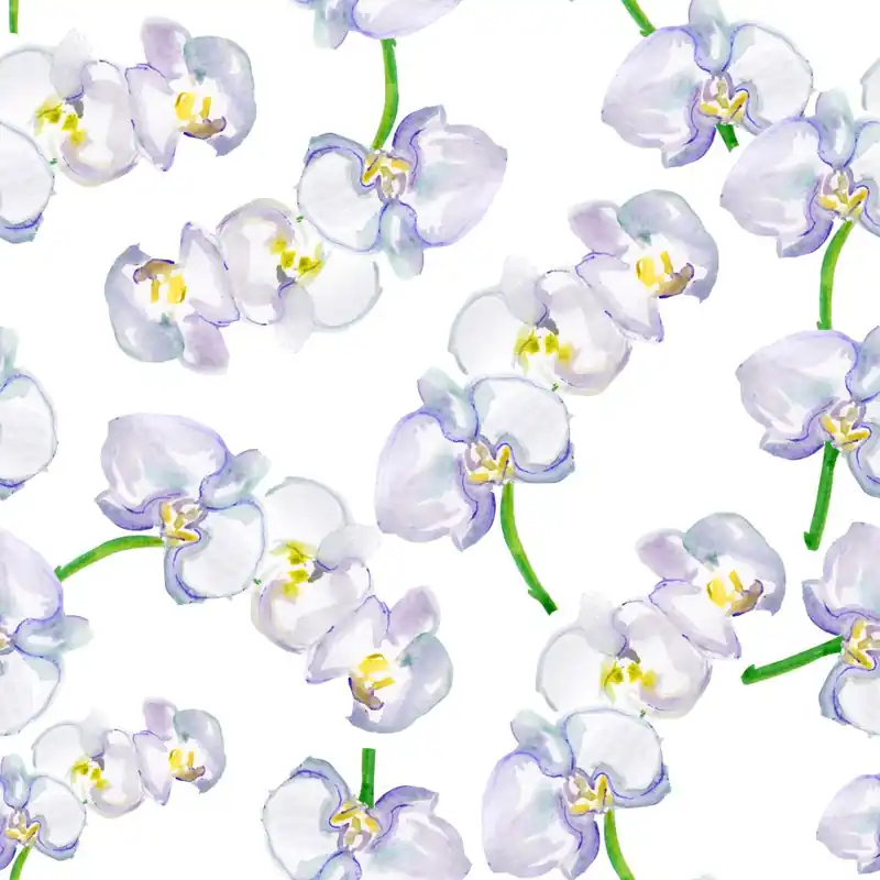 Darmowa dostawa Tapeta Do Salonu Orchidea Storczyk Kwiaty Natura Flizelina 53x1000