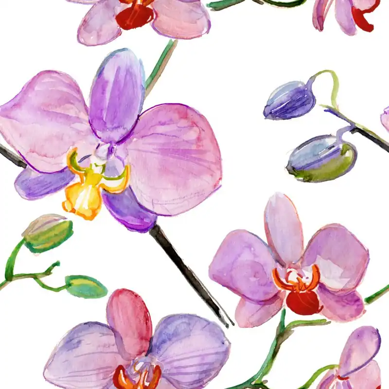 Tapeta Do Salonu Orchidee Storczyki Kwiaty Rośliny Flizelina 53x1000 Super okazja