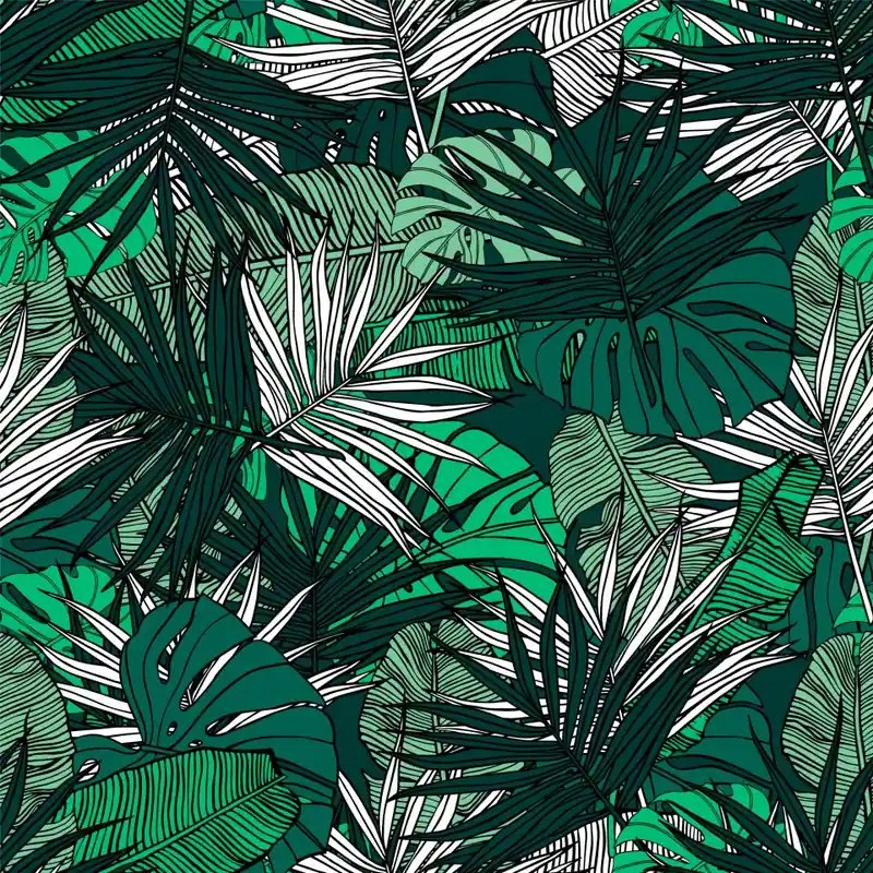 Tapeta Liście Monstera Bananowca Palmy Flizelina 53x1000 Obniżka ceny