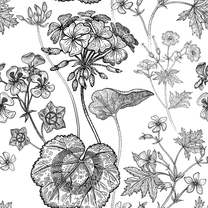 Tapeta Czarno-Białe Pelargonie Flizelina 53x1000 Cena promocyjna