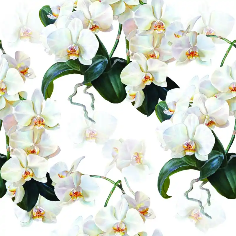 Tapeta Do Sypialni Egzotyczne Storczyki Orchidee Flizelina 53x1000 Premium