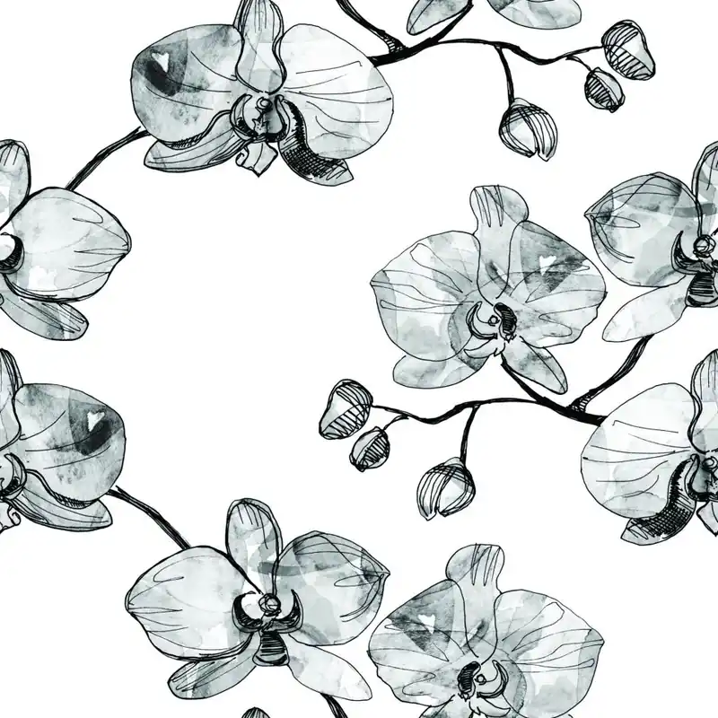 Tapeta Do Salonu Storczyki Kwiaty Orchidea Natura Flizelina 53x1000 Hit sprzedaży