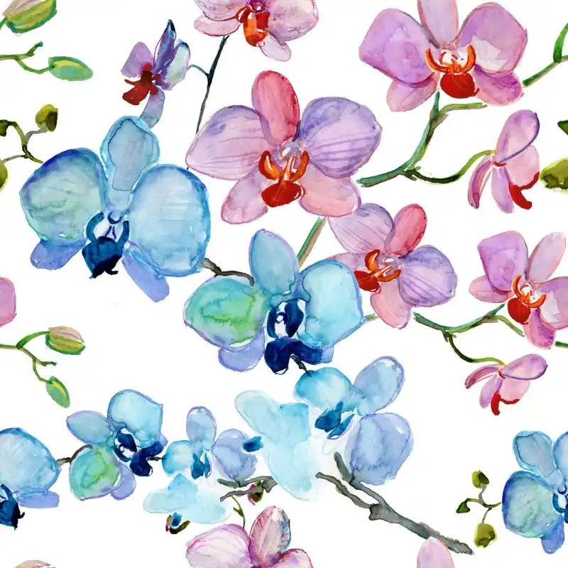 Tapeta Do Salonu Orchidea Kwiaty Natura Storczyki Flizelina 53x1000 Do wyczerpania zapasów