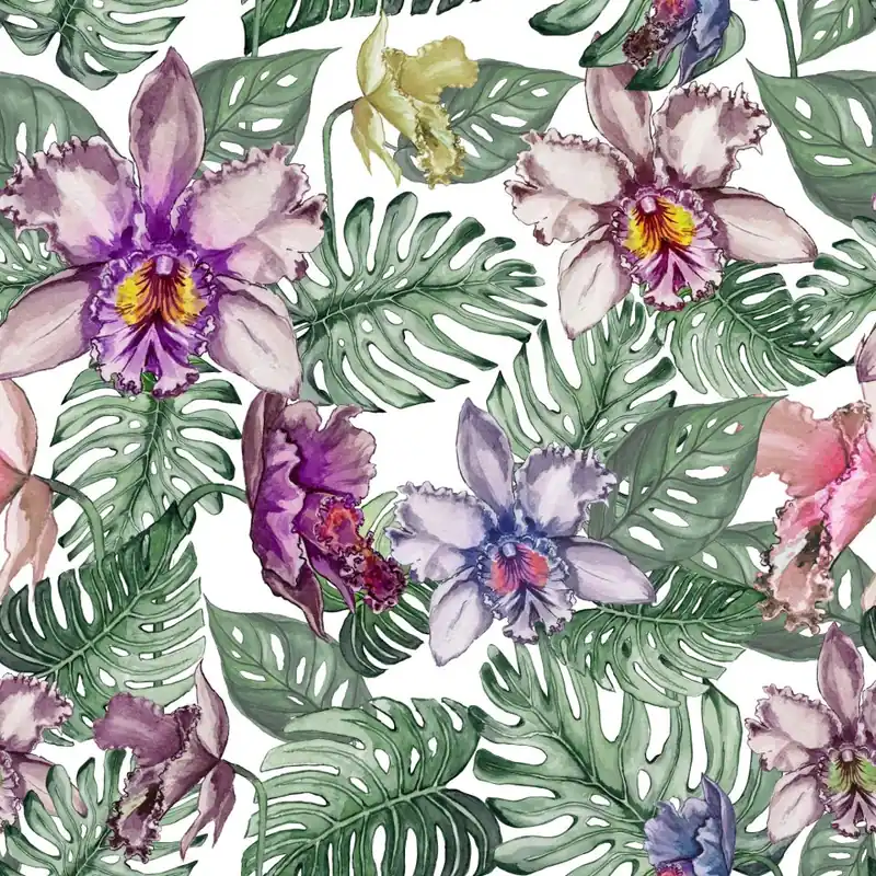 Tapeta Kolorowe Kwiaty Orchidei I Liście Monstery Flizelina 53x1000 Nowość