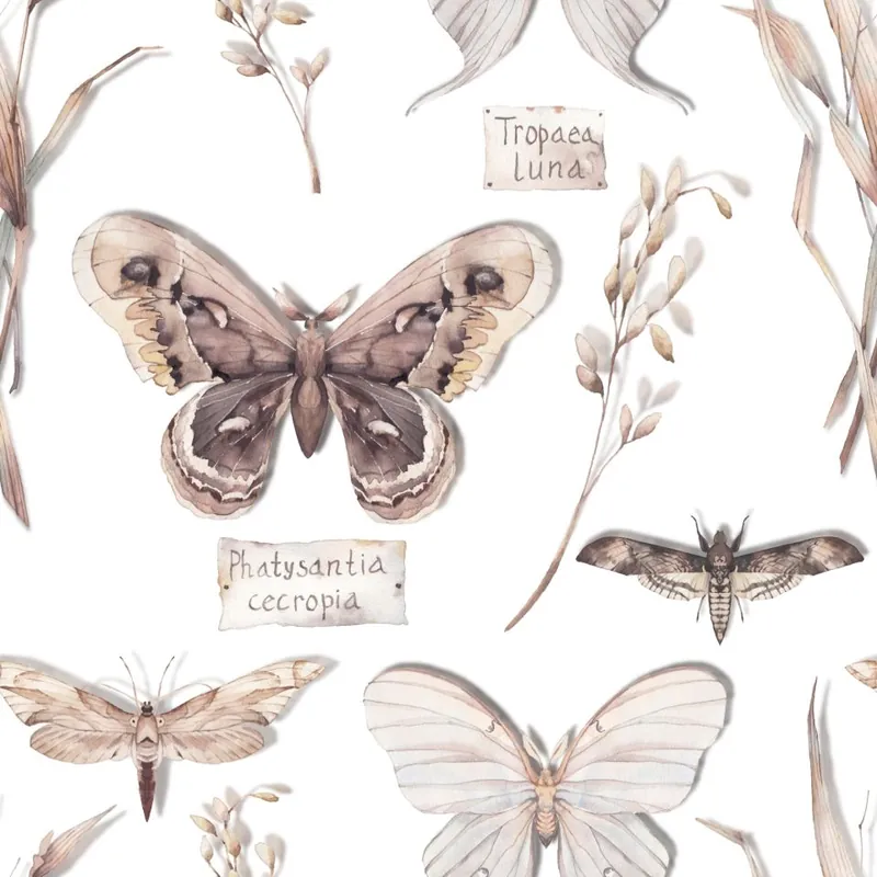 Tapeta Do Kuchni, Motyle, Kwiaty, Rośliny, Natura Flizelina 53x1000 Wysoka jakość