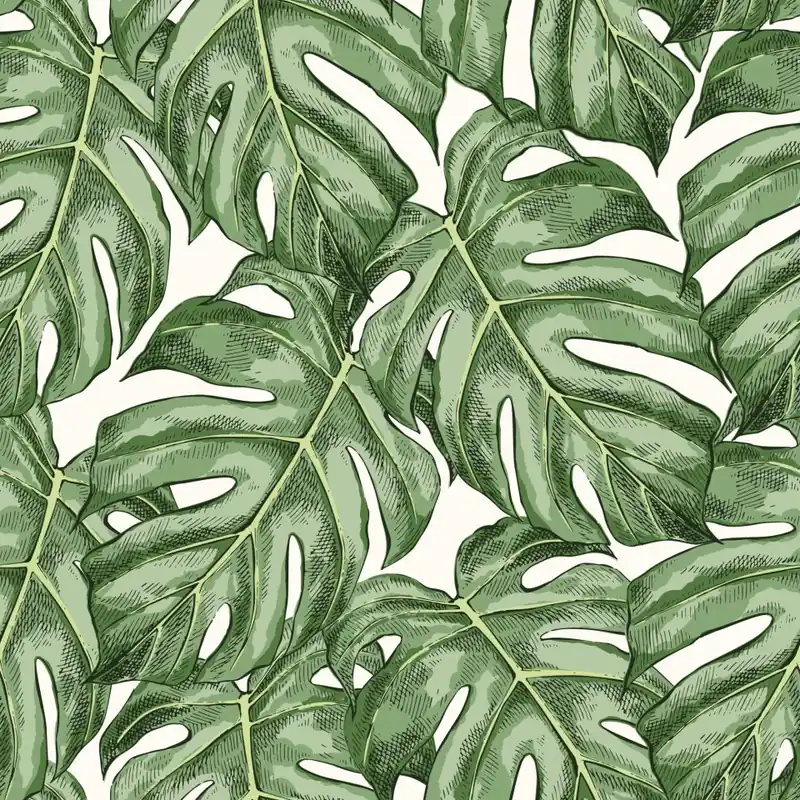 Tapeta Liście Monstera Flizelina 53x1000 Nowy