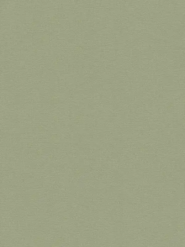 Tapeta Flavour AS Creation 36713-7 Gładka khaki Dodaj do koszyka