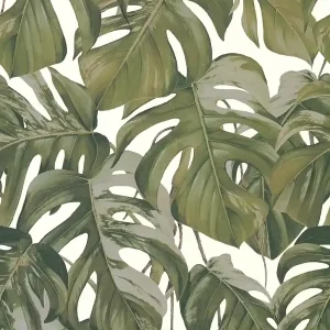 Tylko dziś Tapeta 36519-2 Michalsky Dream Again AS Creation flizelinowa liście monstera – szary, zielony, biały