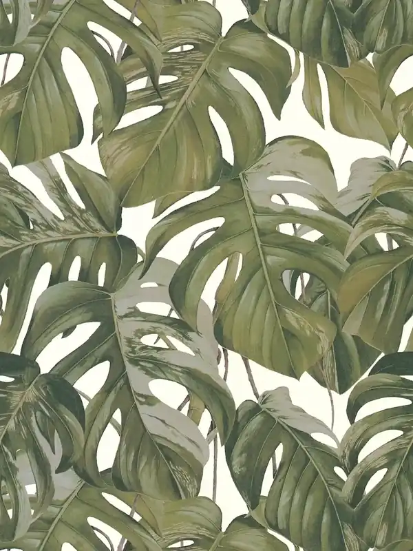 Tylko dziś Tapeta 36519-2 Michalsky Dream Again AS Creation flizelinowa liście monstera – szary, zielony, biały