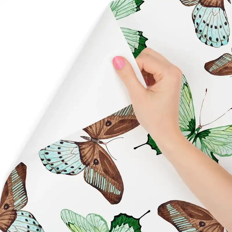 Tapeta Do Kuchni, Motyle, Natura, Przyroda Szybka dostawa