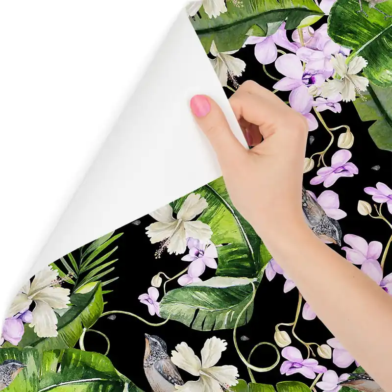 Tapeta Do Salonu Storczyki Natura Kwiaty Rośliny Promocja