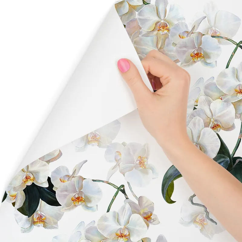 Tapeta Do Sypialni Egzotyczne Storczyki Orchidee Szybka dostawa