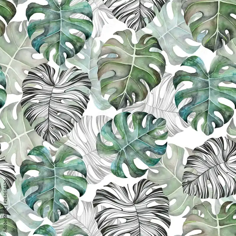 Tapeta Liście Monstera Bestseller