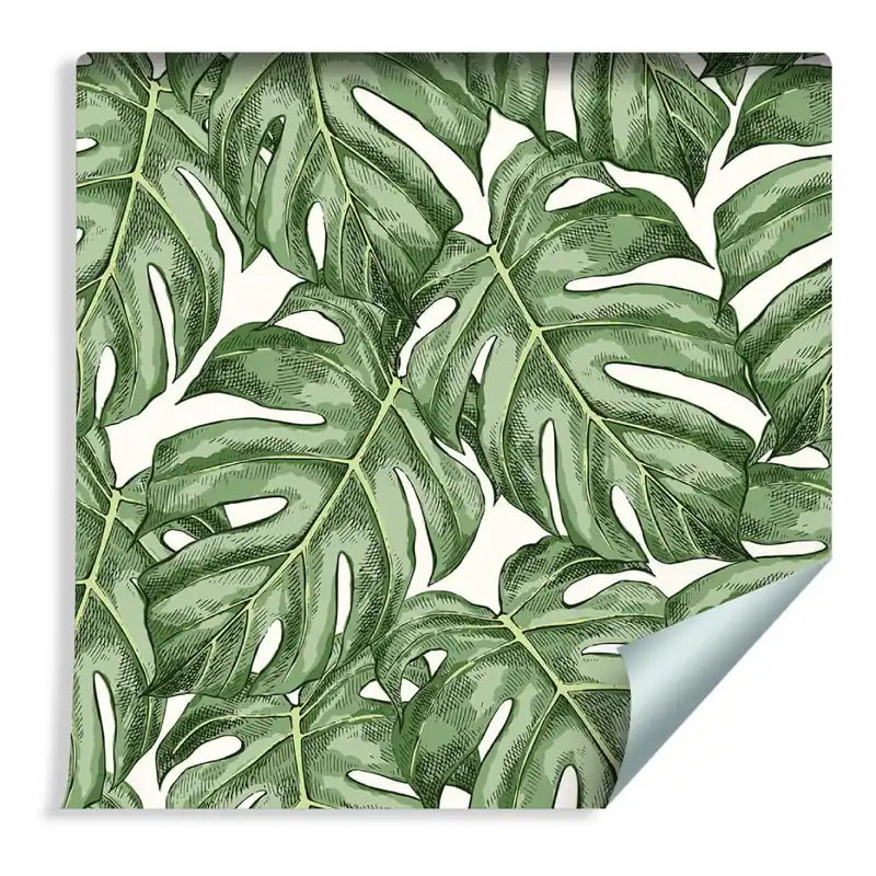 Obniżka ceny Tapeta Liście Monstera