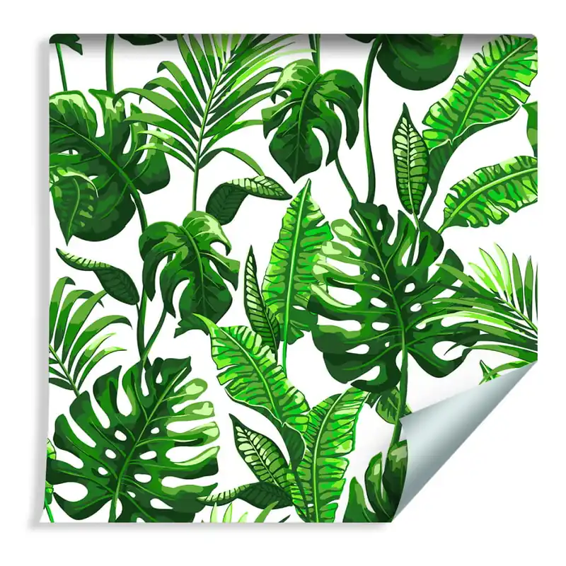 Dostępne od ręki Tapeta Liście Monstera I Palmy