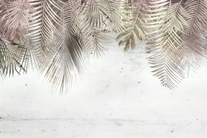 Darmowy zwrot Fototapeta Tropical Trees And Leaves For Digital Printing Wallpaper, Custom Design Wallpaper - 3D