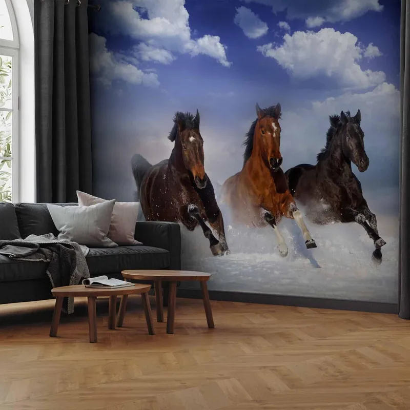 Dostępne od ręki Fototapeta - Konie w śniegu