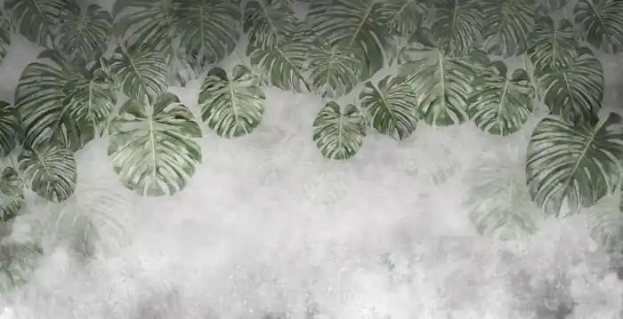 Fototapeta Tropical Trees And Leaves For Digital Printing Wallpaper, Custom Design Wallpaper - 3D Zniżka