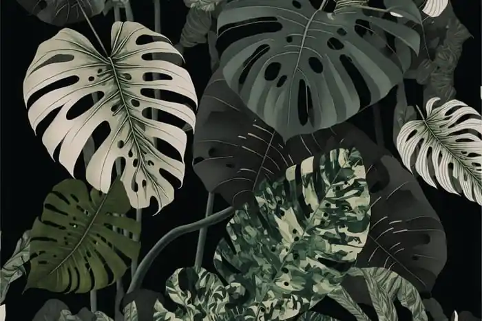 Hit cenowy Fototapeta 4K Resolution Or Higher, Botanical Maximalism, High Contrast Leaves Pattern. Generative Ai Technology