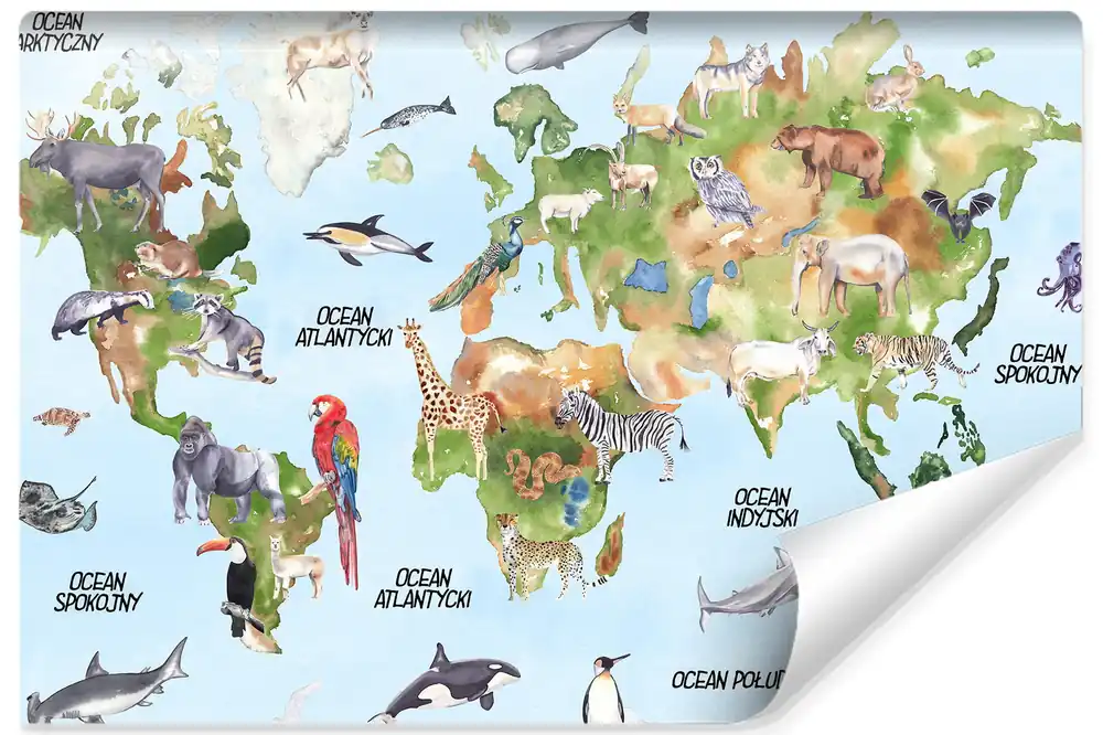 Fototapeta Akwarelowa Mapa Świata Kup teraz
