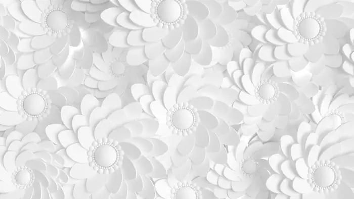 Premium Fototapeta Beautiful, Elegant Paper Flower In The Style Of Hand-Made On A White Wall. 3D