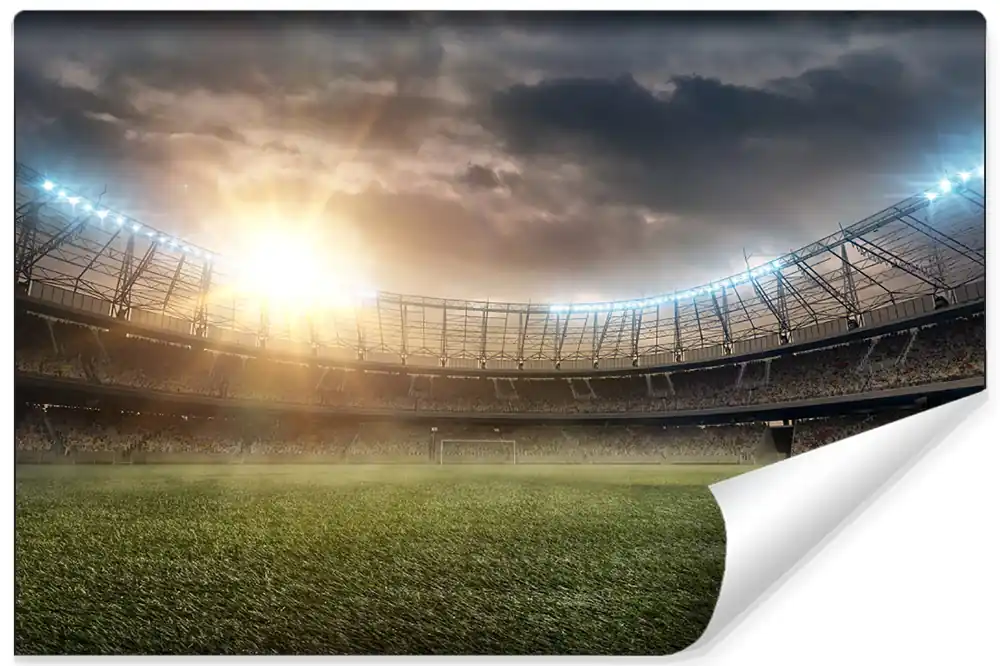 Premium Fototapeta Boisko Stadion Piłka Nożna