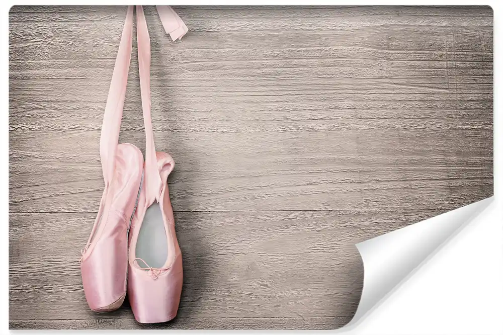 Fototapeta Buty Do Baletu Szybka wysyłka