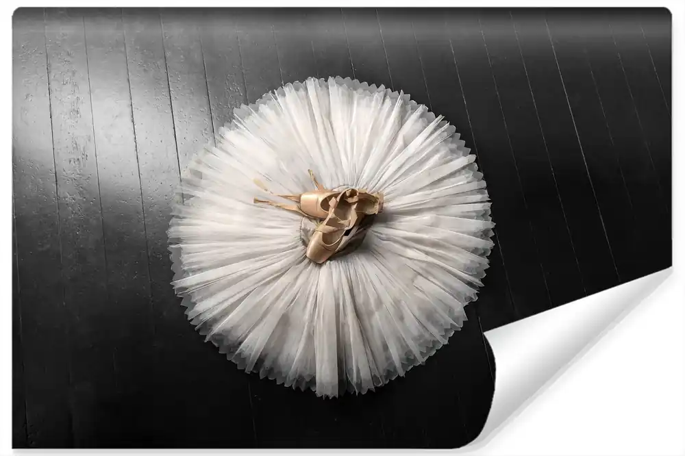 Fototapeta Buty Do Baletu Na Białej Tutu Oferta