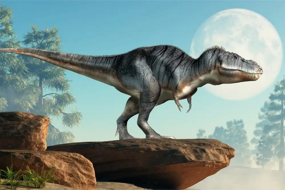 Hit cenowy Fototapeta Dinozaur Na Skałach