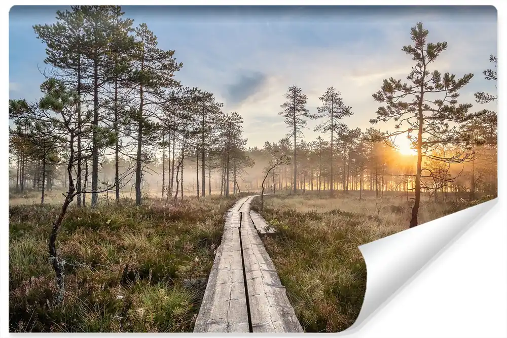 Tylko do końca tygodnia Fototapeta Drewniana Ścieżka W Lesie