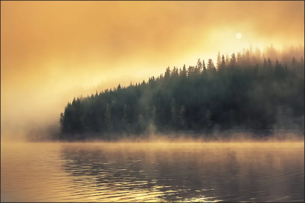 Tylko do końca tygodnia Fototapeta Las We Mgle