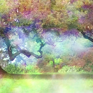 Dodaj do koszyka Fototapeta Magiczny Kolorowy Las