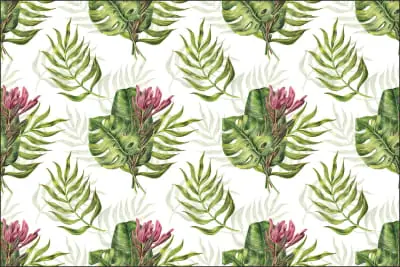 Nie przegap Fototapeta Liście Monstera