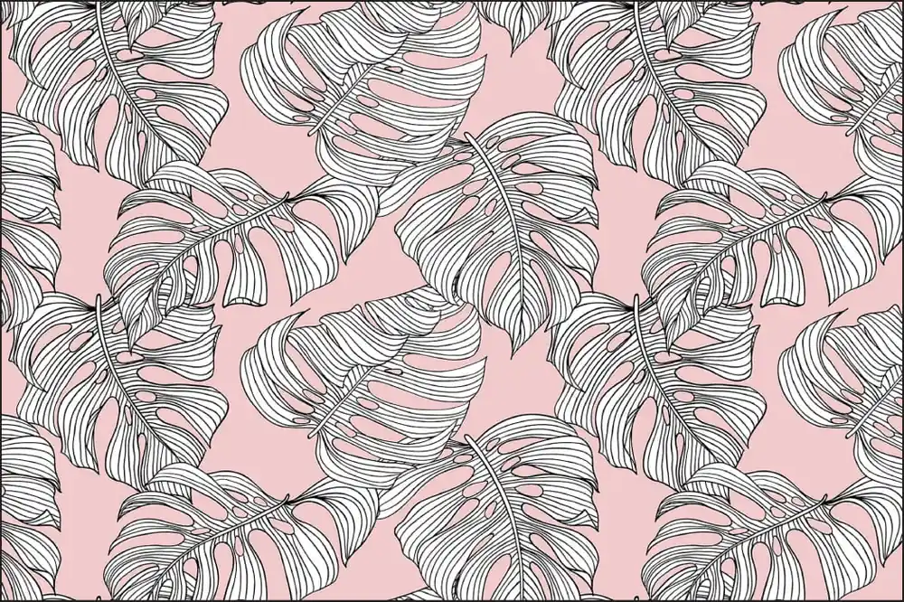 Fototapeta Liście Monstera Nowość