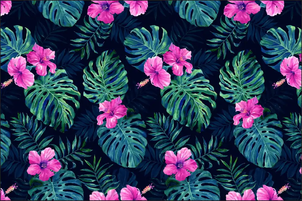 Nowy Fototapeta Liście Monstera