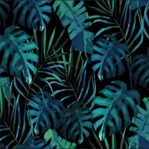 Zniżka Fototapeta Liście Monstera