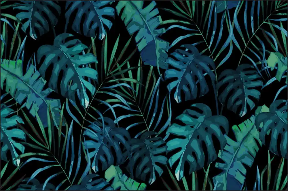Zniżka Fototapeta Liście Monstera