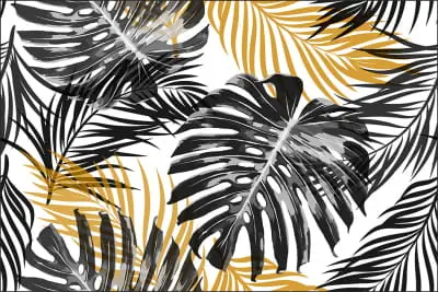 Niska cena Fototapeta Liście Monstera