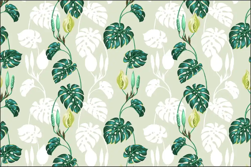 Tani Fototapeta Liście Monstera