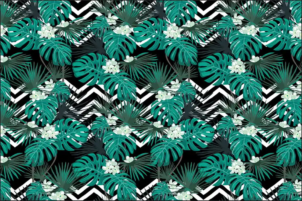 Fototapeta Liście Monstera Super okazja
