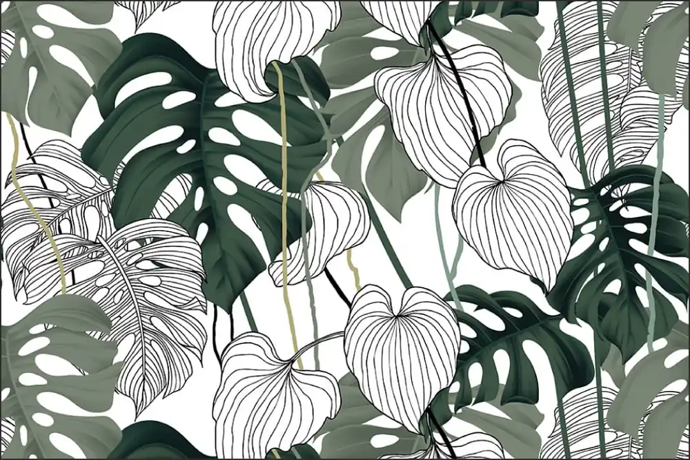 Fototapeta Liście Monstera Oferta czasowa