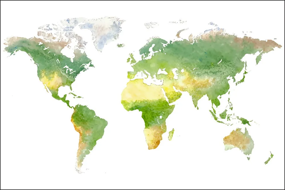 Premium Fototapeta Mapa Świata