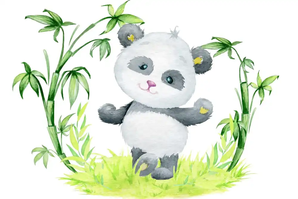 Łatwy zwrot Fototapeta Panda I Bambus