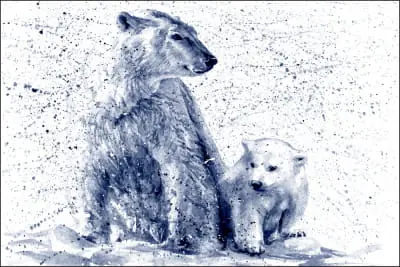 Fototapeta Niedźwiedzie Polarne Nie przegap