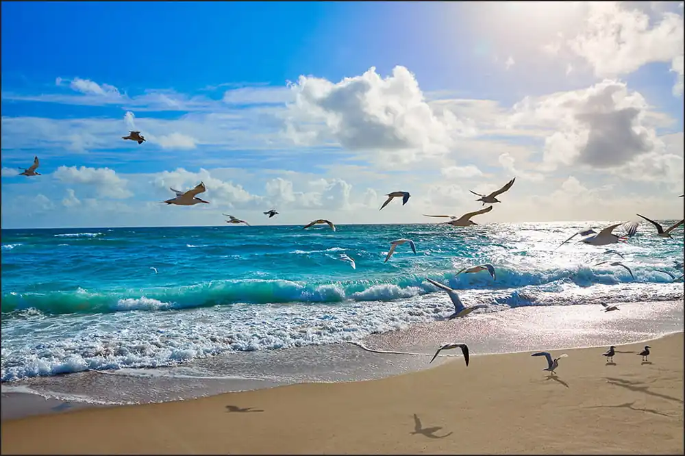 Fototapeta Plaża Morze Fale Oferta
